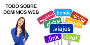 dominios web marbella diseño web
